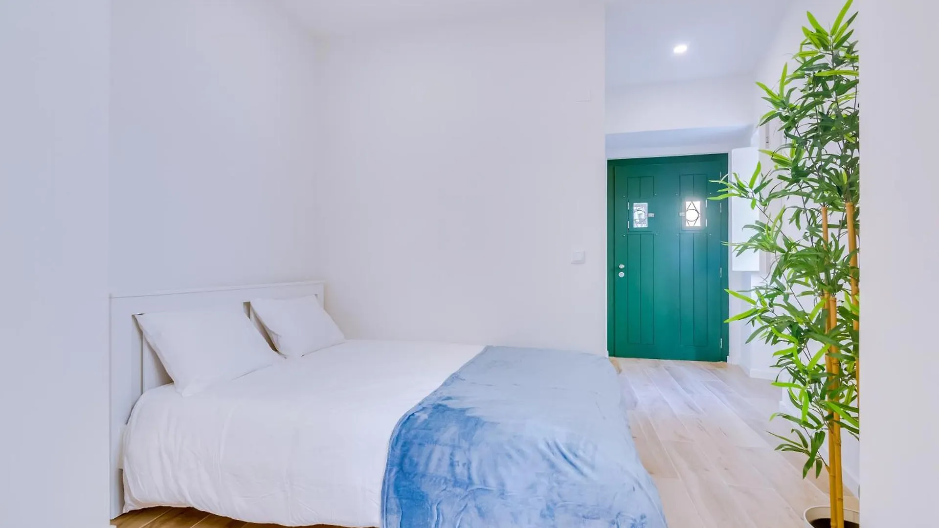 Graceful Studio Apartment G24 Lisbon